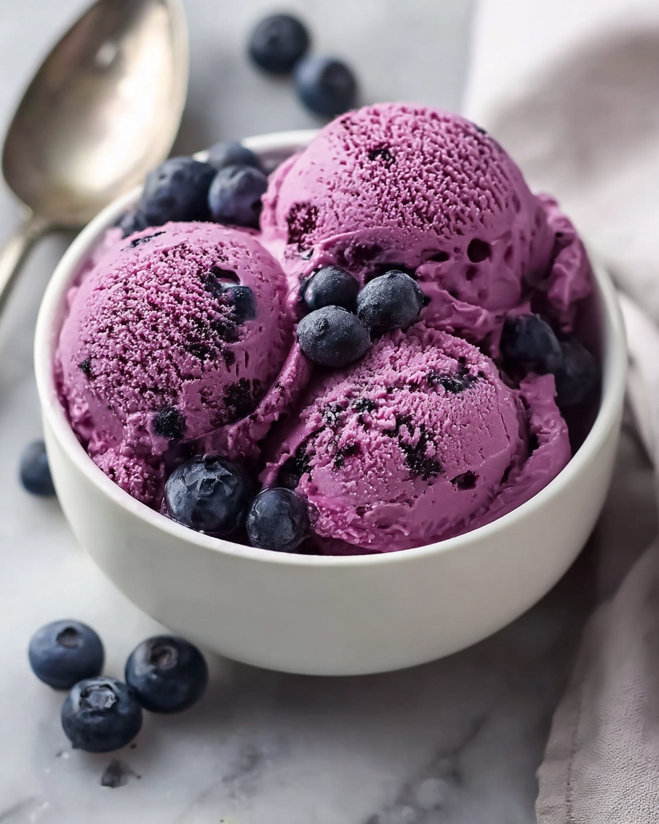 Blueberry Frozen Yogurt Recipe - Recipe Image