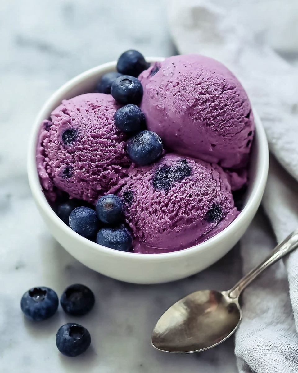 Blueberry Frozen Yogurt Recipe - Recipe Image