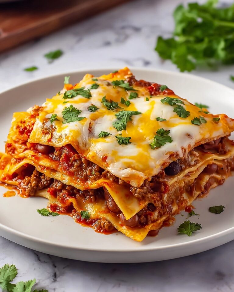 Beef and Bean Enchiladas Recipe