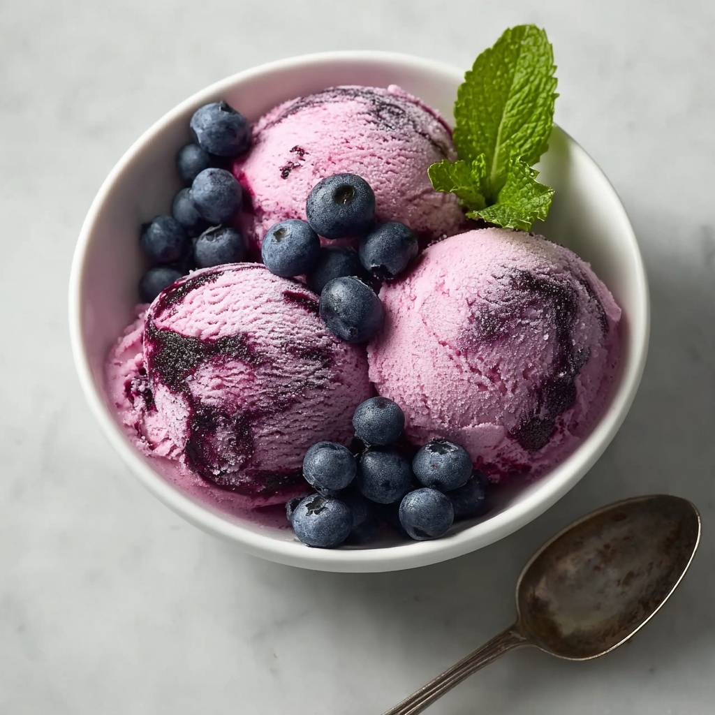 Blueberry Greek Frozen Yogurt Recipe - Recipe Image
