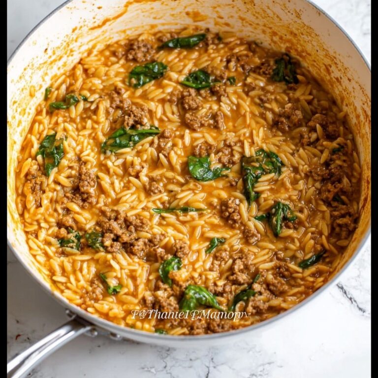 Ground Beef Orzo with Tomato Cream Sauce Recipe